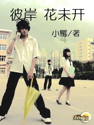 奇点灰烬